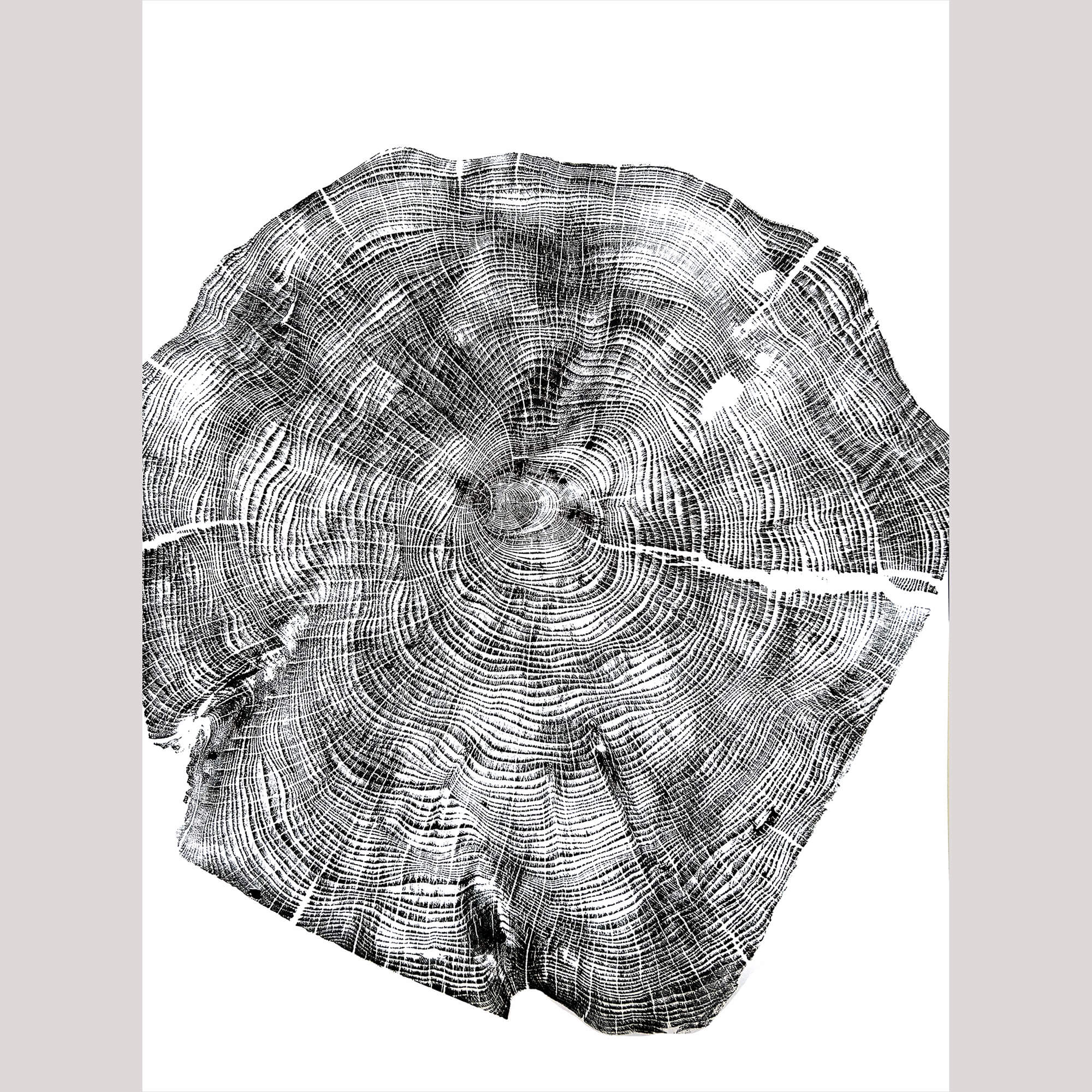 125 — Black Sea Forest · Hand Pressed Print