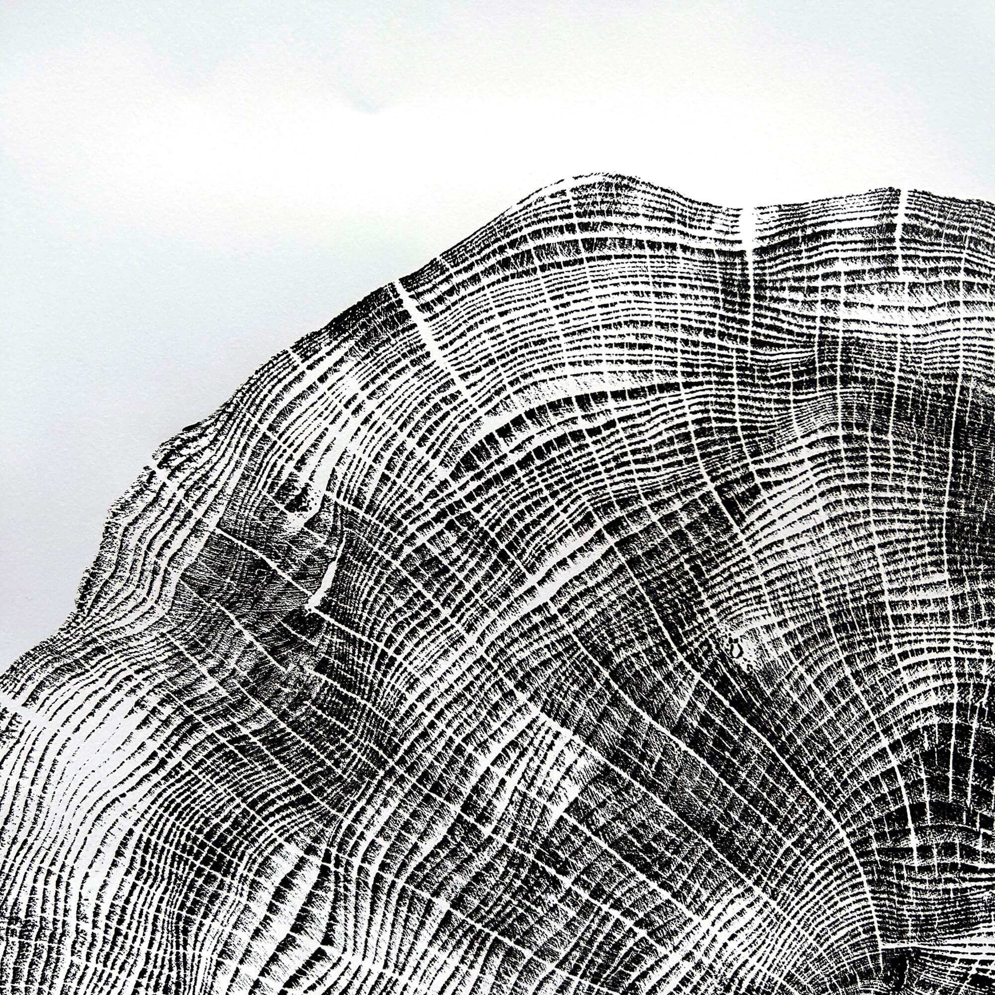 125 — Black Sea Forest · Hand Pressed Print
