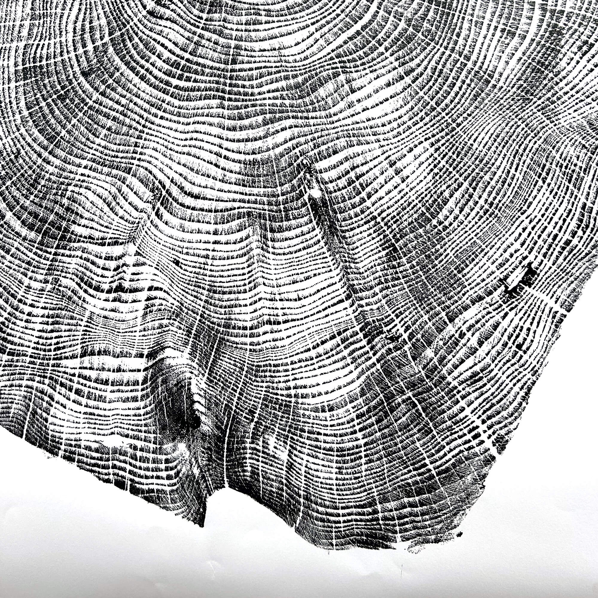 125 — Black Sea Forest · Hand Pressed Print
