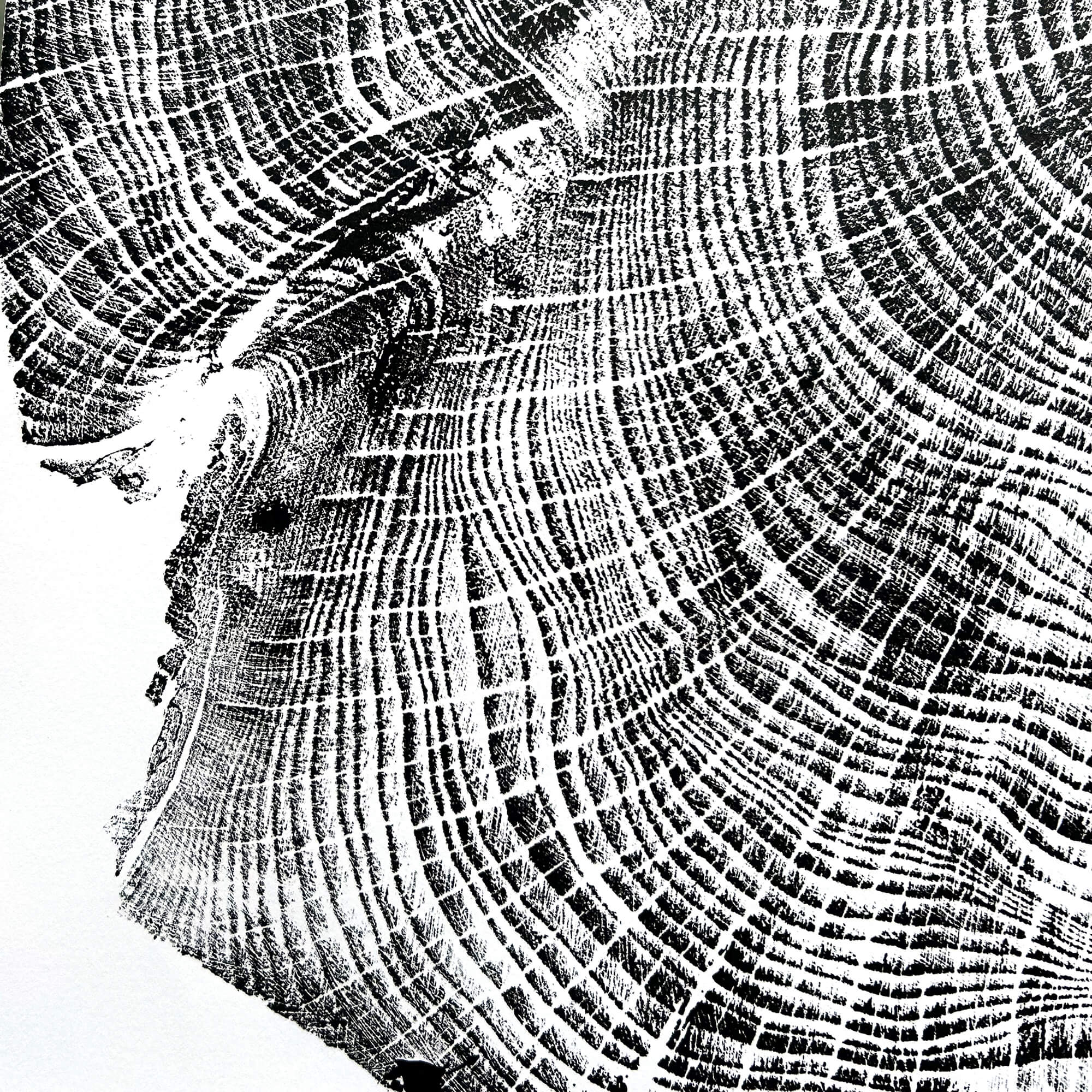 125 — Black Sea Forest · Hand Pressed Print