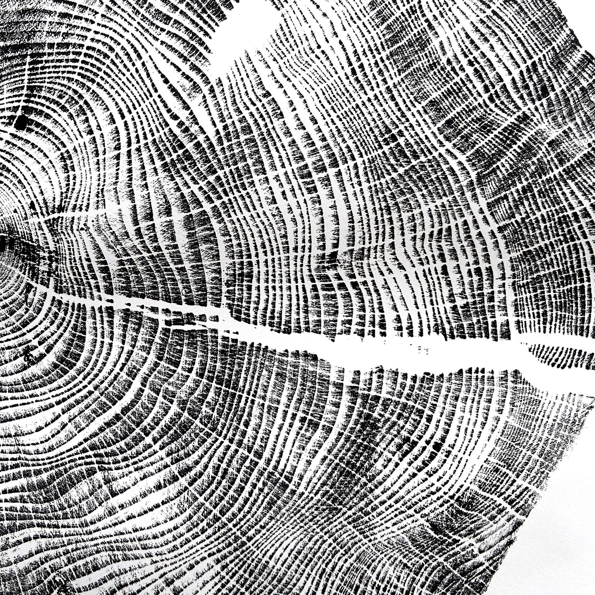 125 — Black Sea Forest · Hand Pressed Print