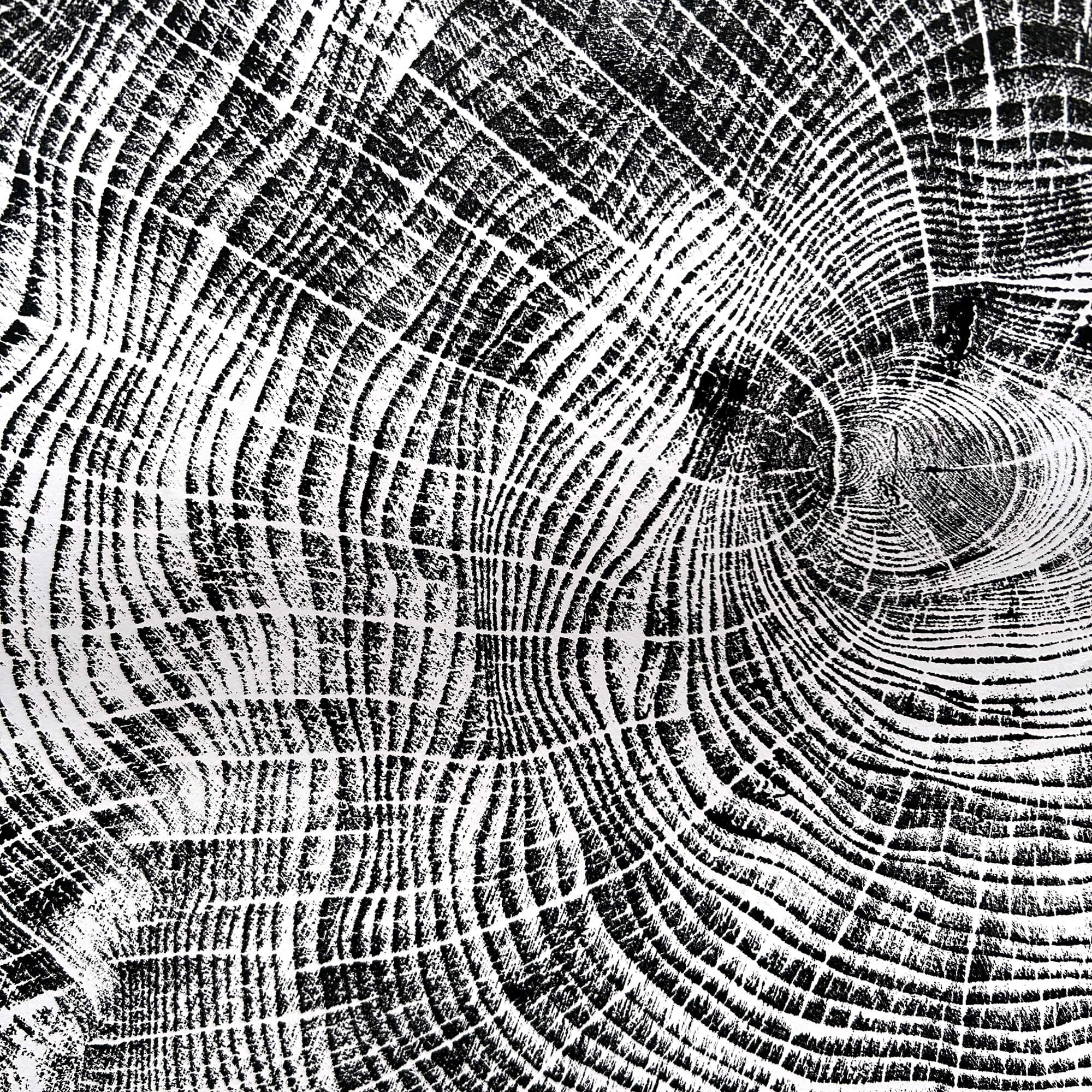 125 — Black Sea Forest · Hand Pressed Print