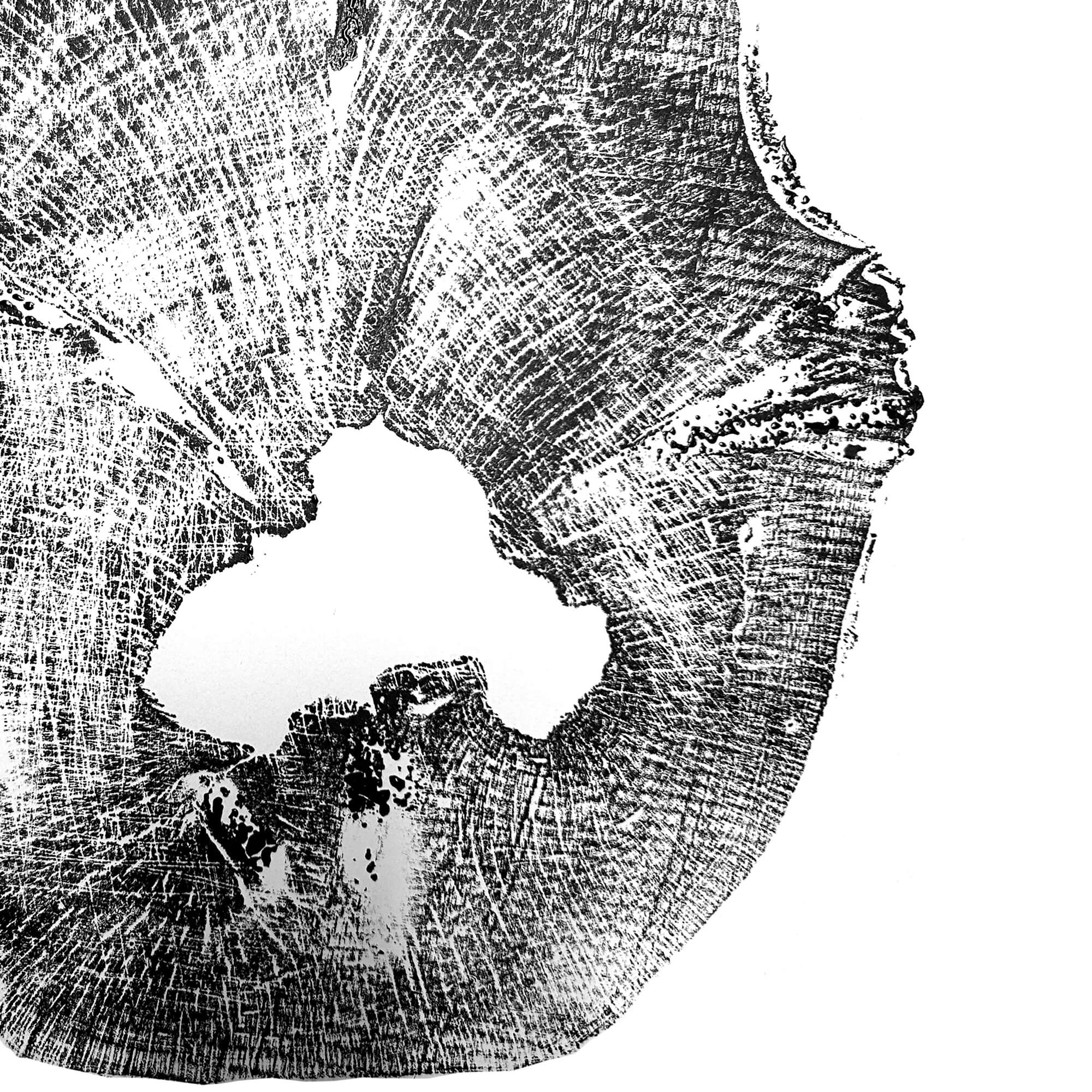 Black Sea Forest · Hand Pressed Print
