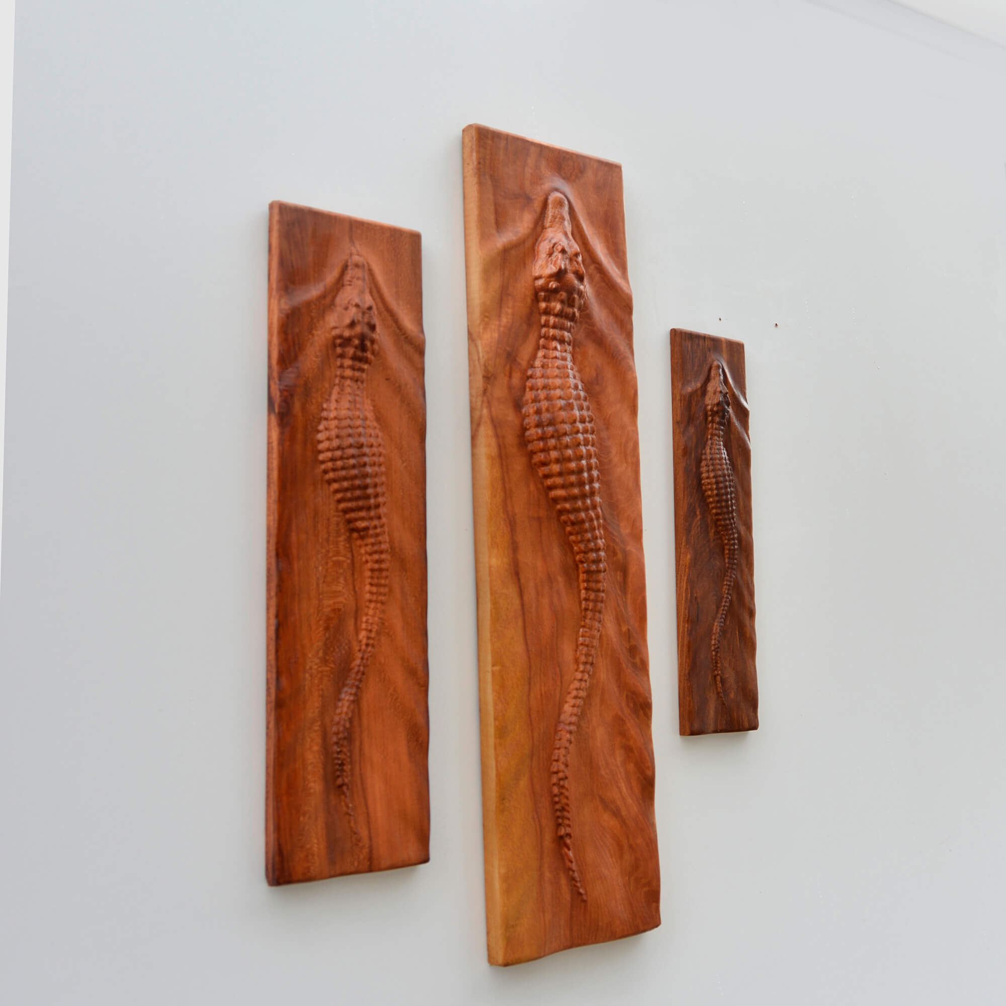Crocodile Wall Carving Set