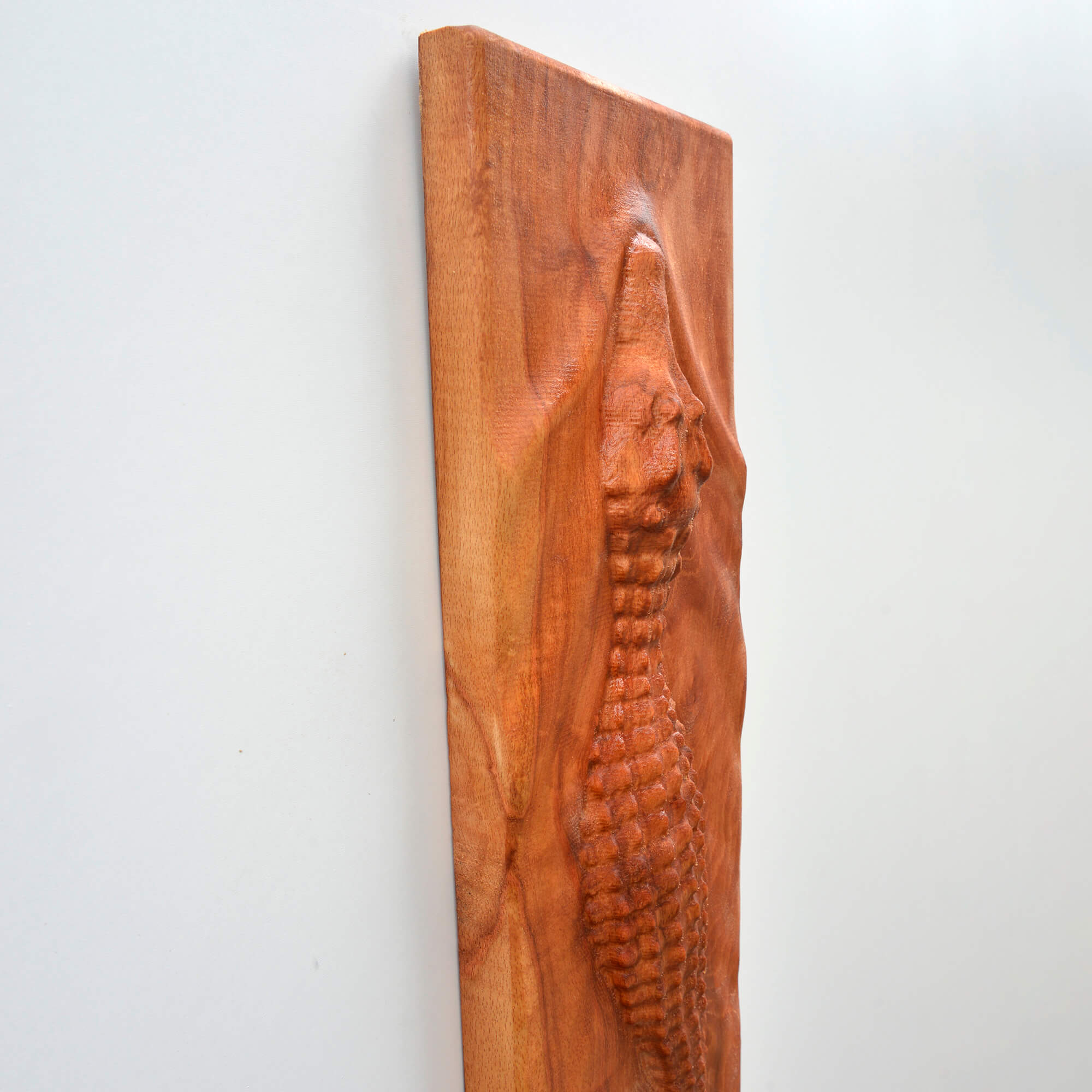 Crocodile Wall Carving Set
