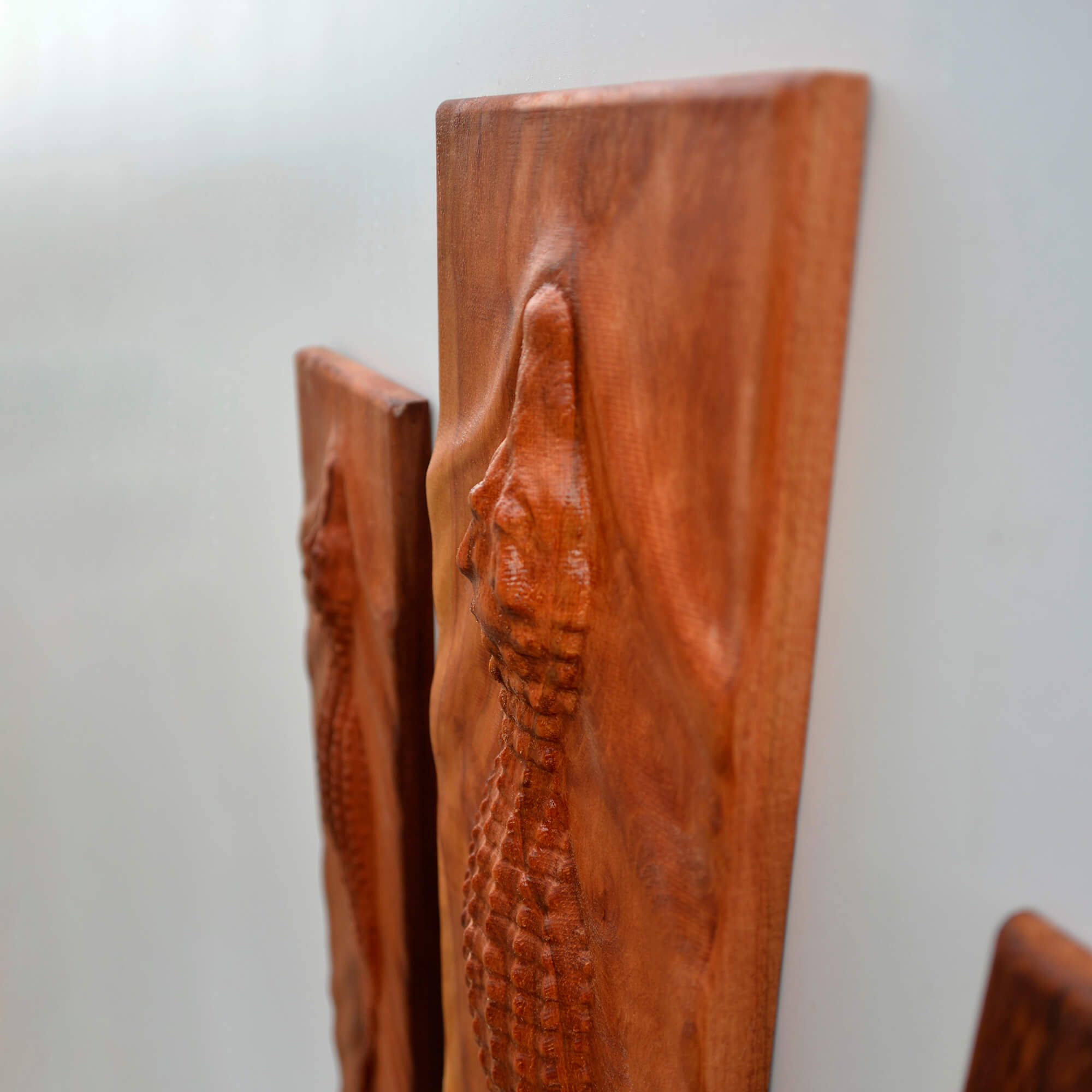 Crocodile Wall Carving Set