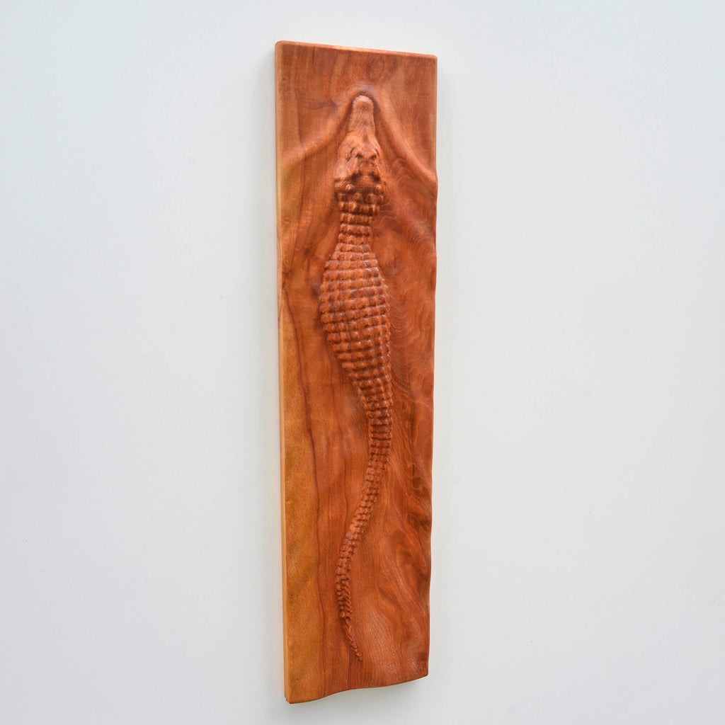 Crocodile Wall Carving Set