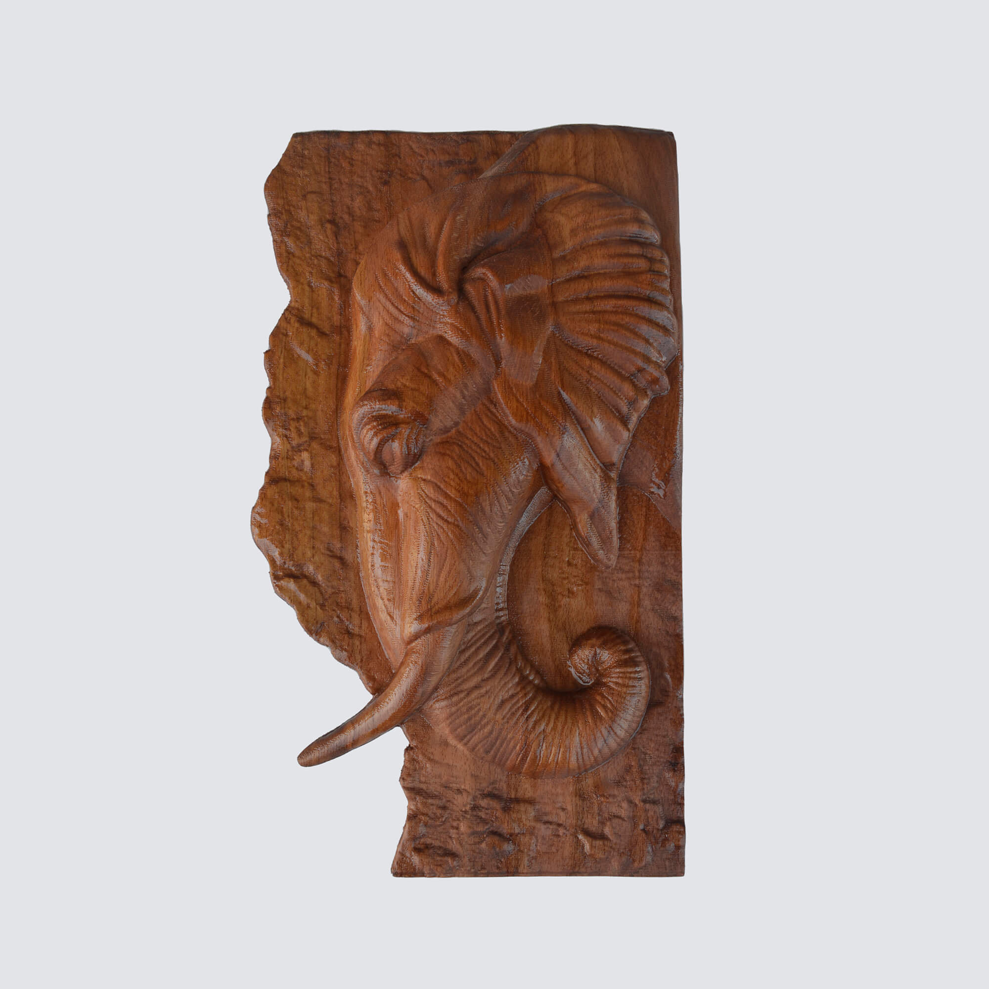 Elephant Wall Carving