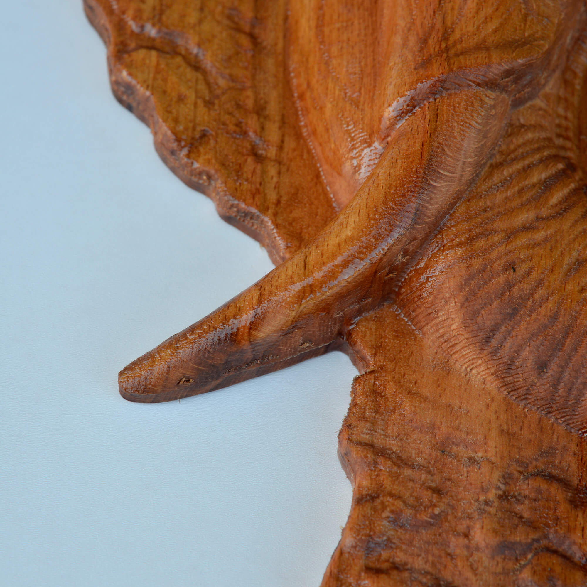 Elephant Wall Carving