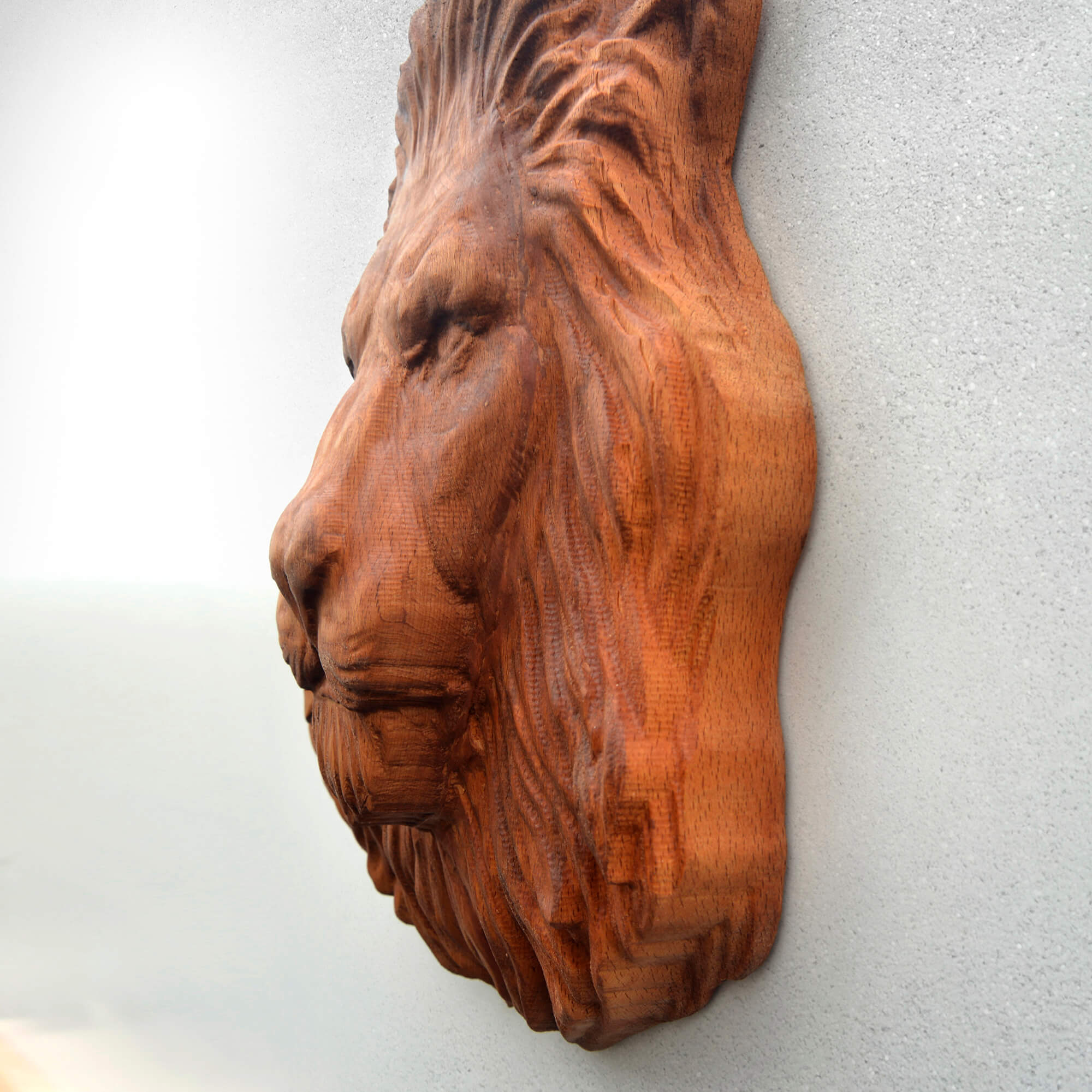 Lion Wall Carving