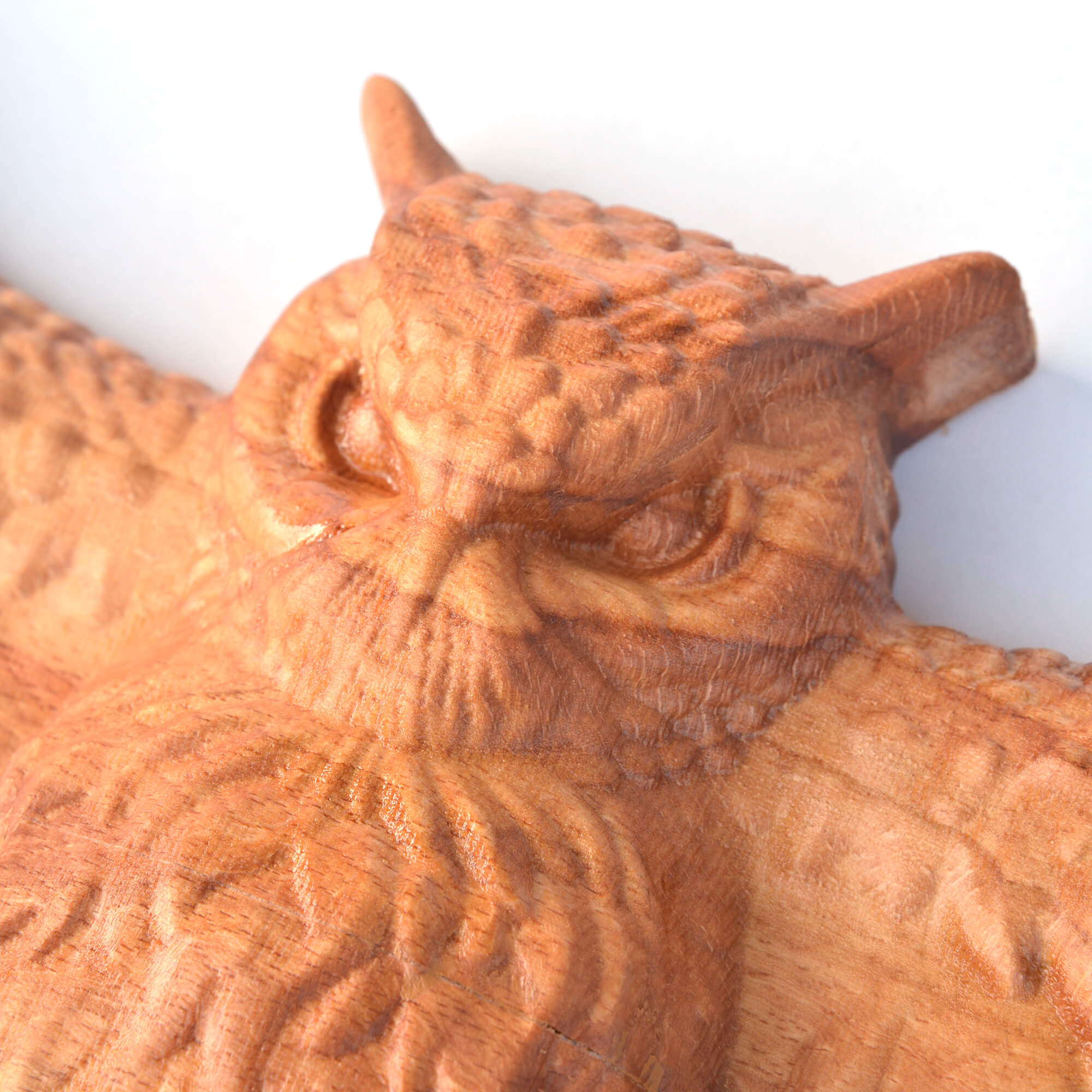 Owl Wall Carving