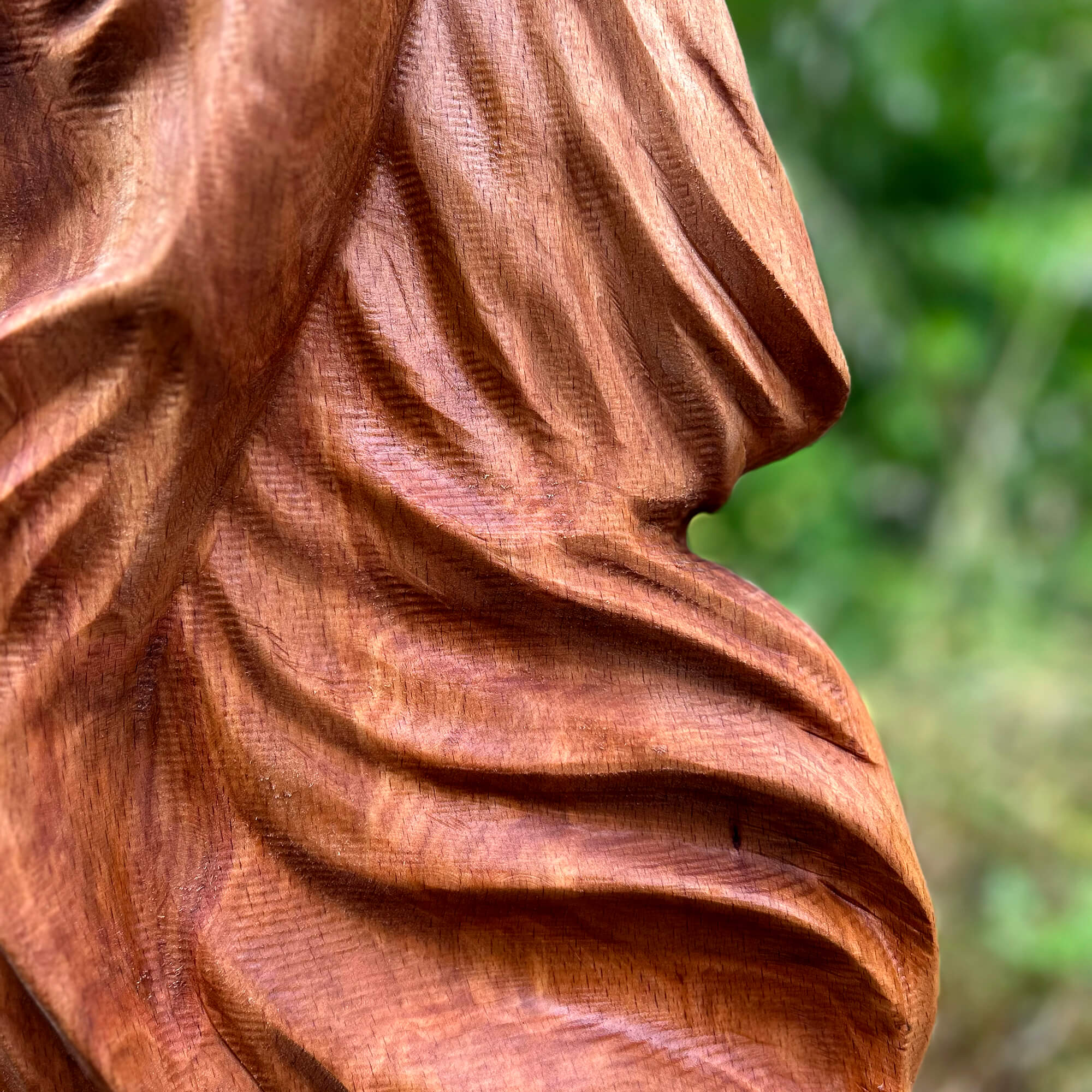 Betta Fish Wall Carving