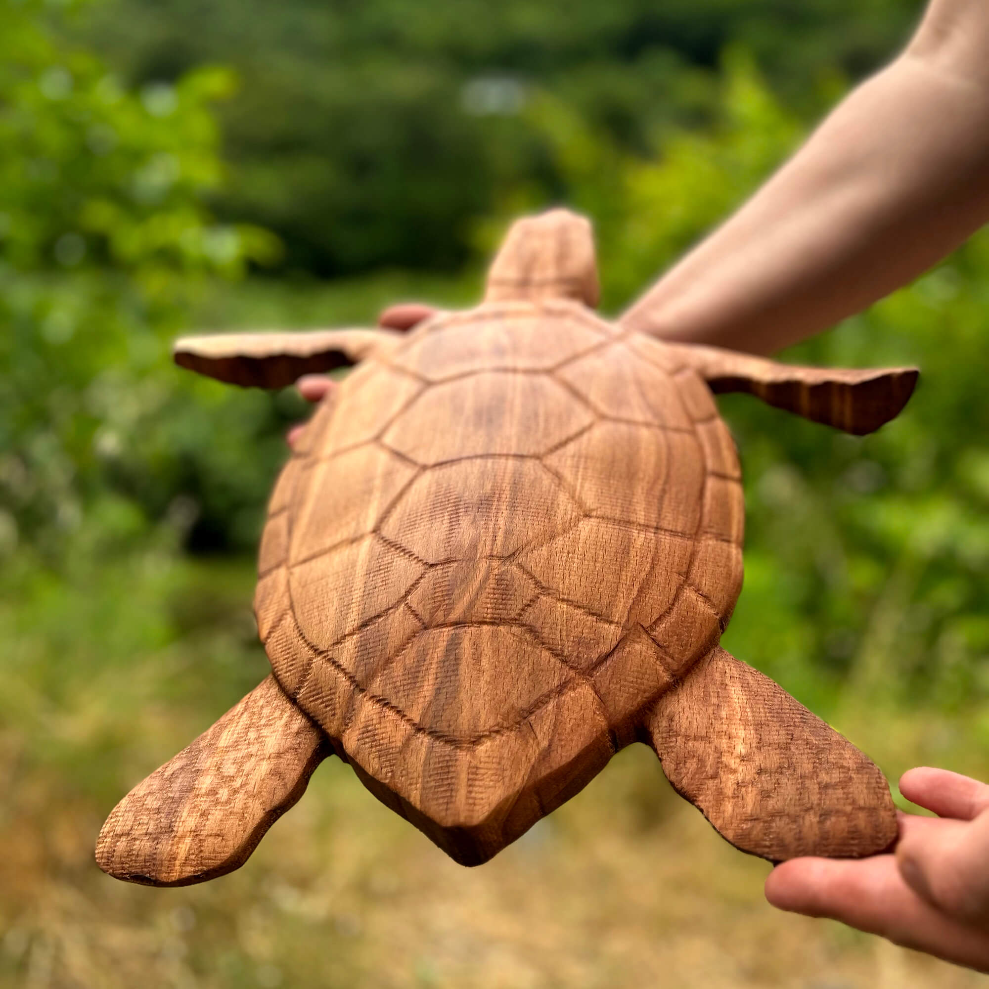 Sea Turtle Wall Carving