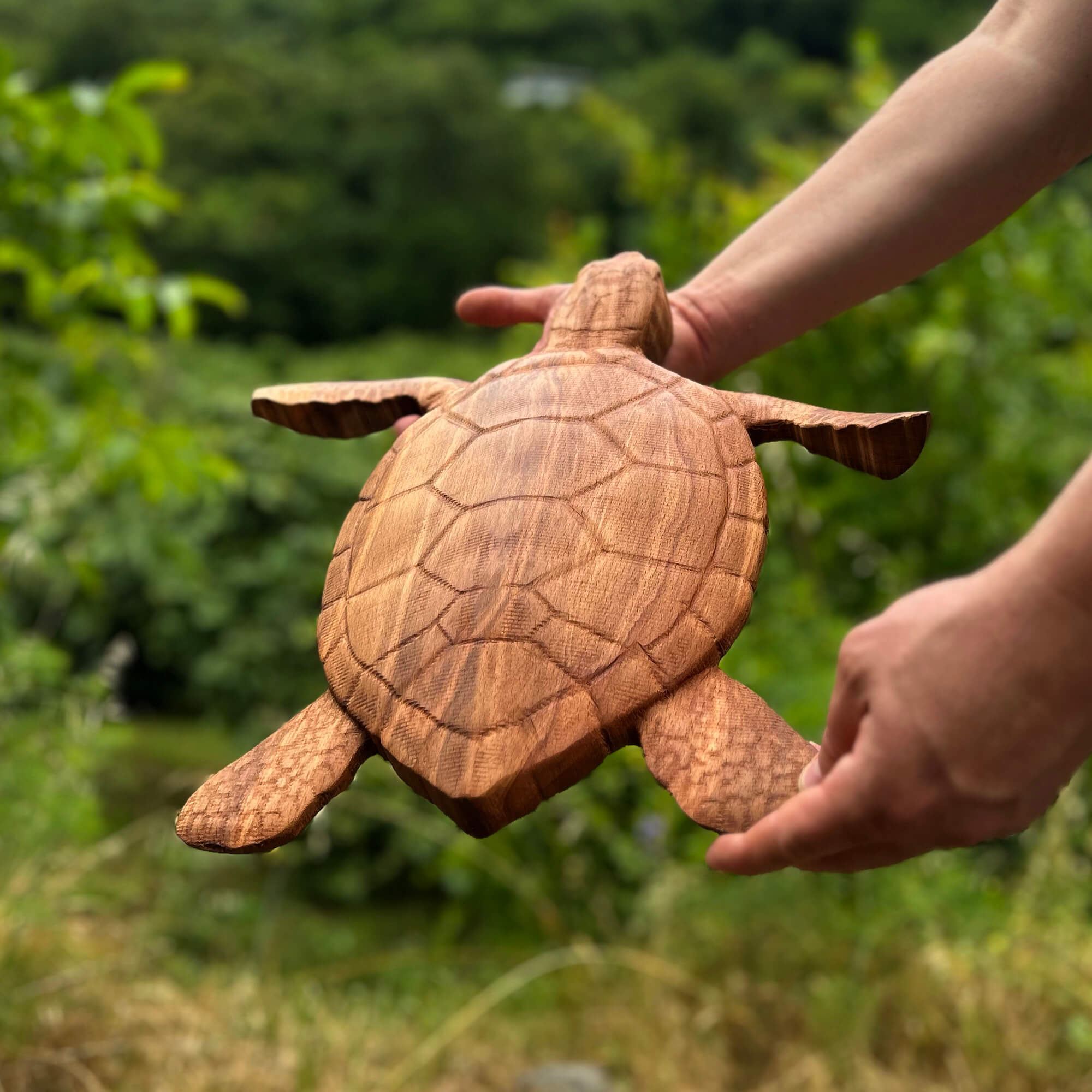 Sea Turtle Wall Carving