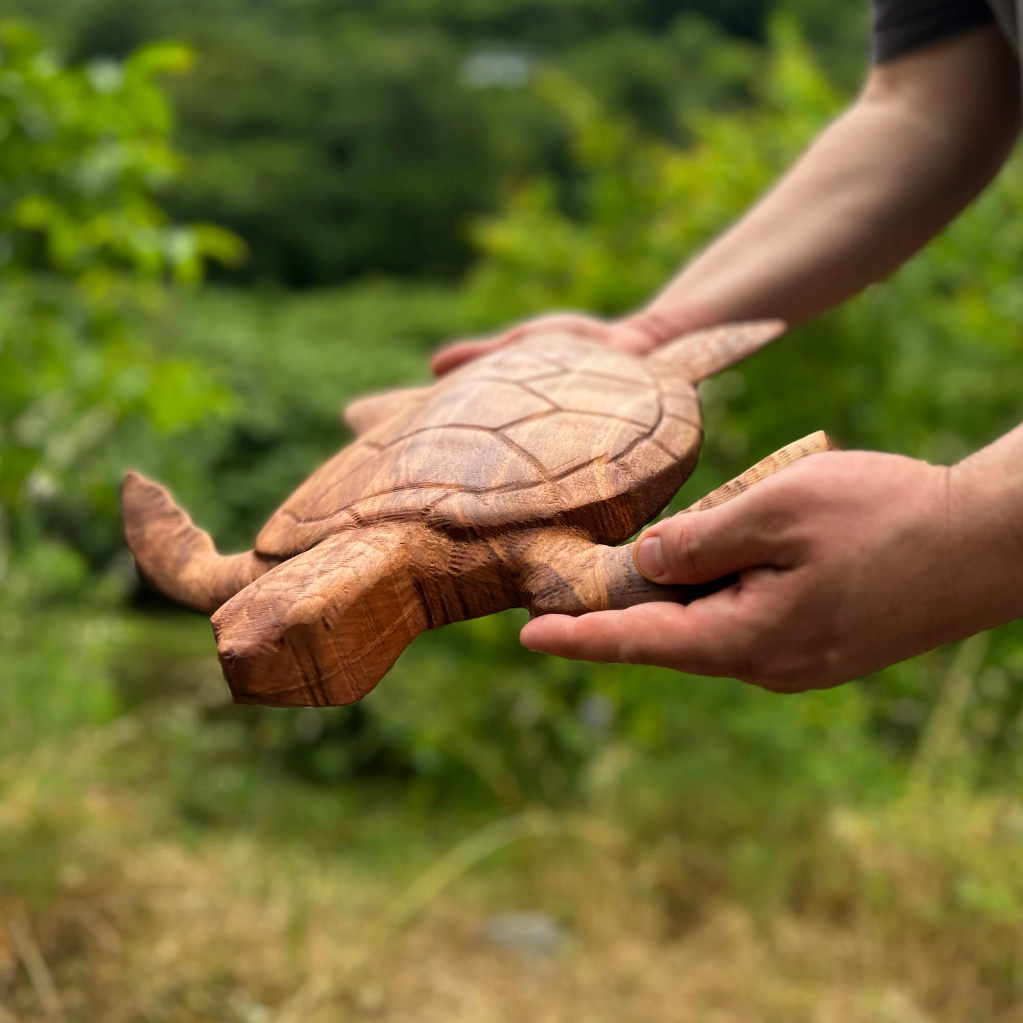 Sea Turtle Wall Carving