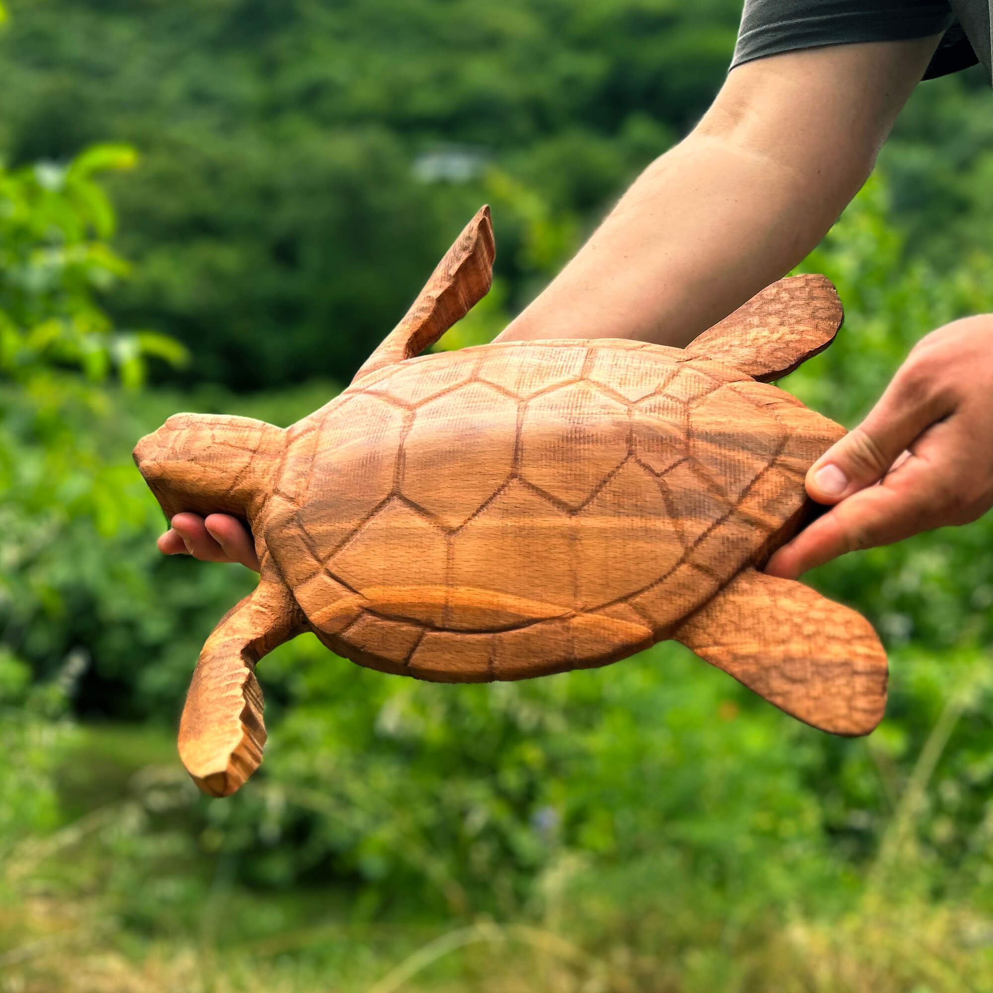Sea Turtle Wall Carving