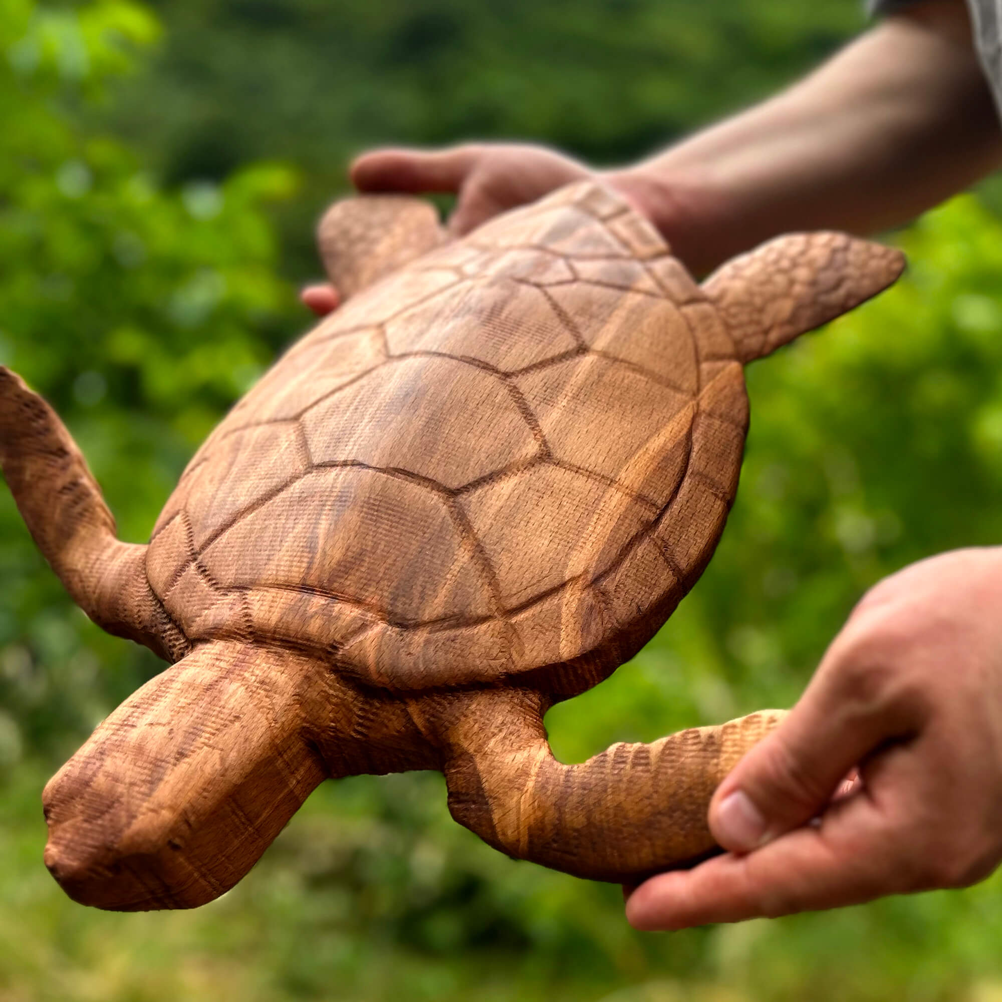 Sea Turtle Wall Carving