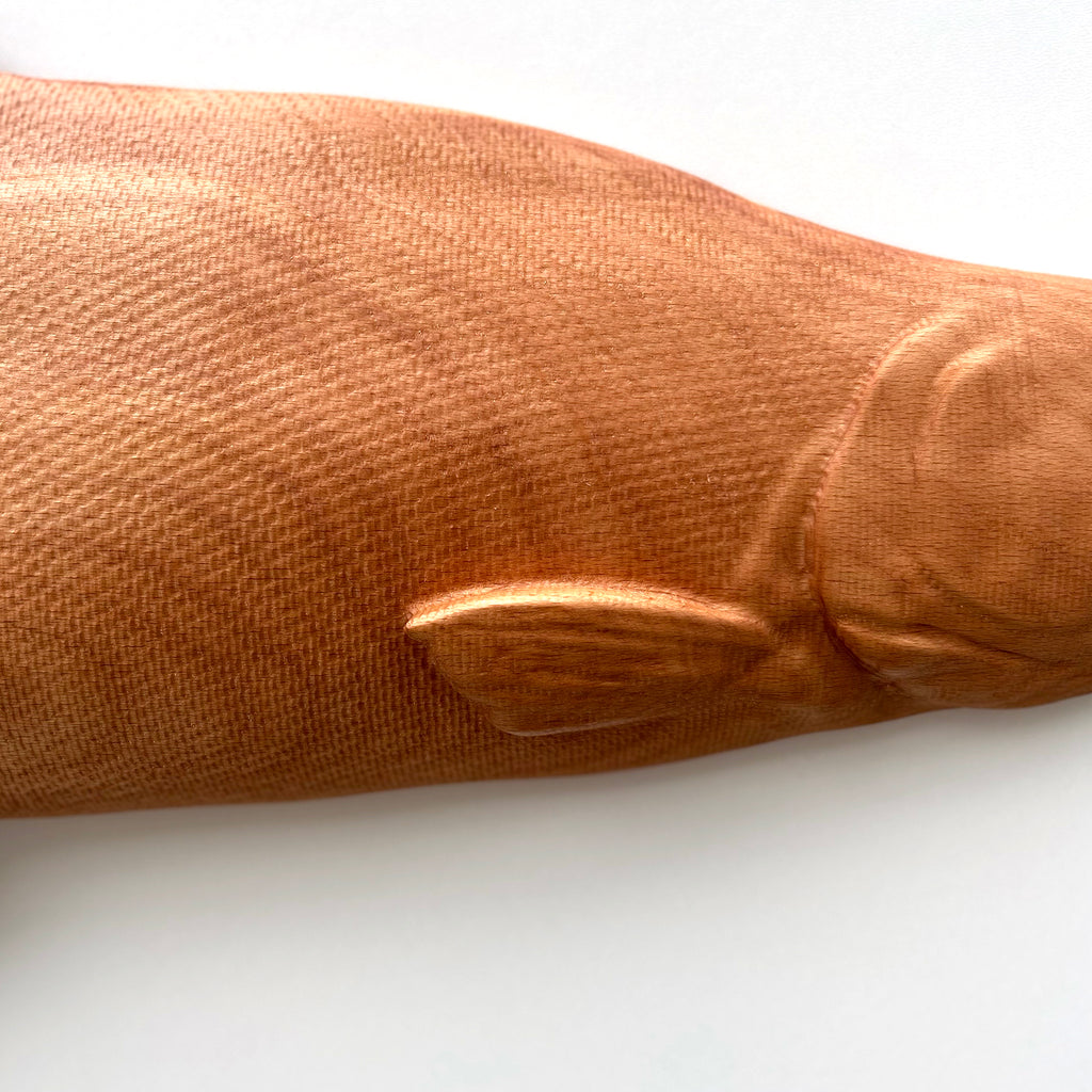 Salmon Wall Carving