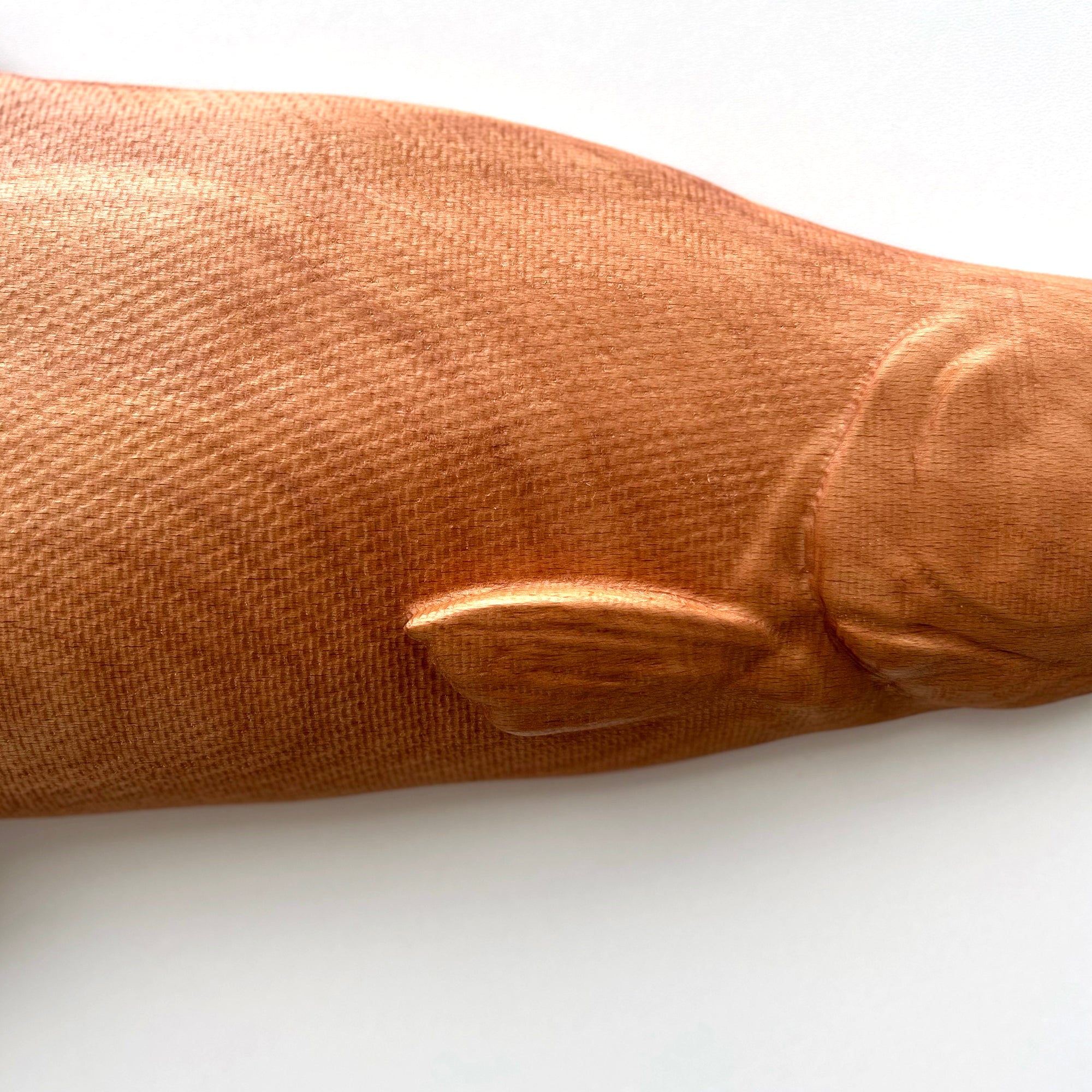 Salmon Wall Carving
