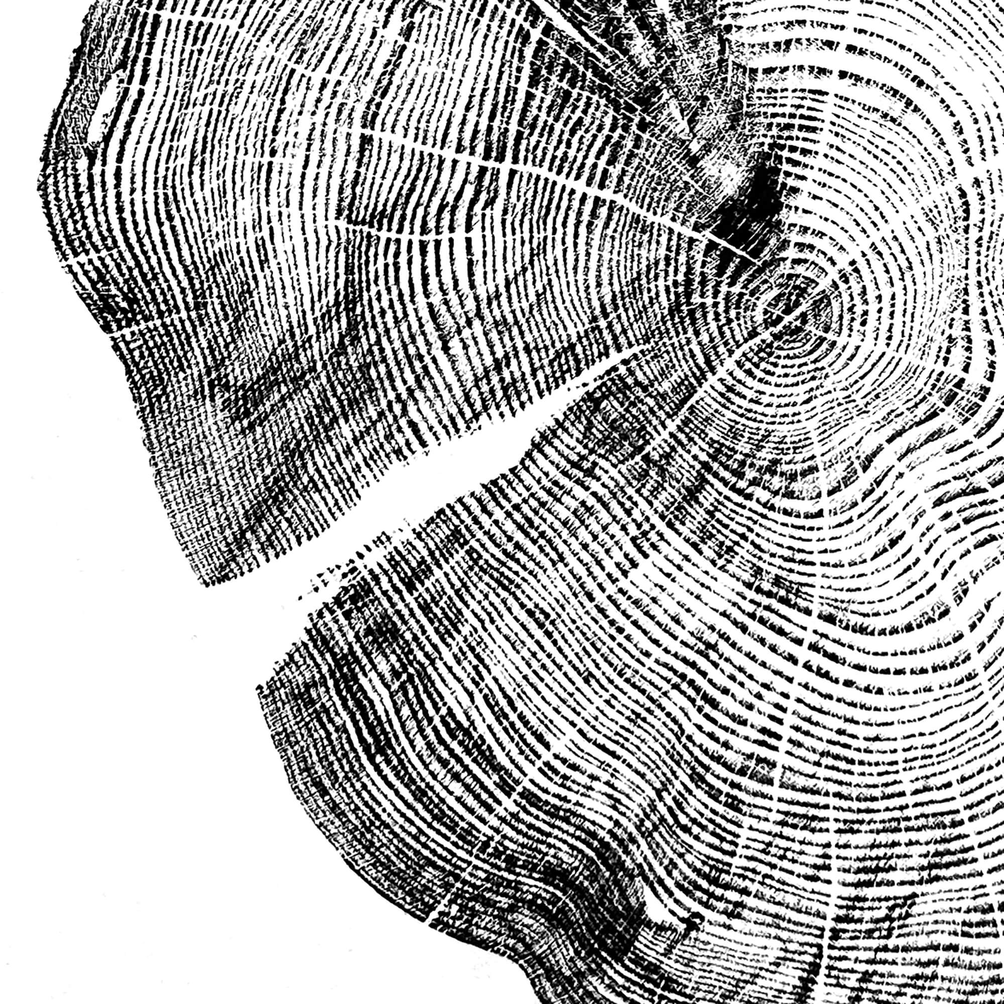 72 — Black Sea Forest · Hand Pressed Print