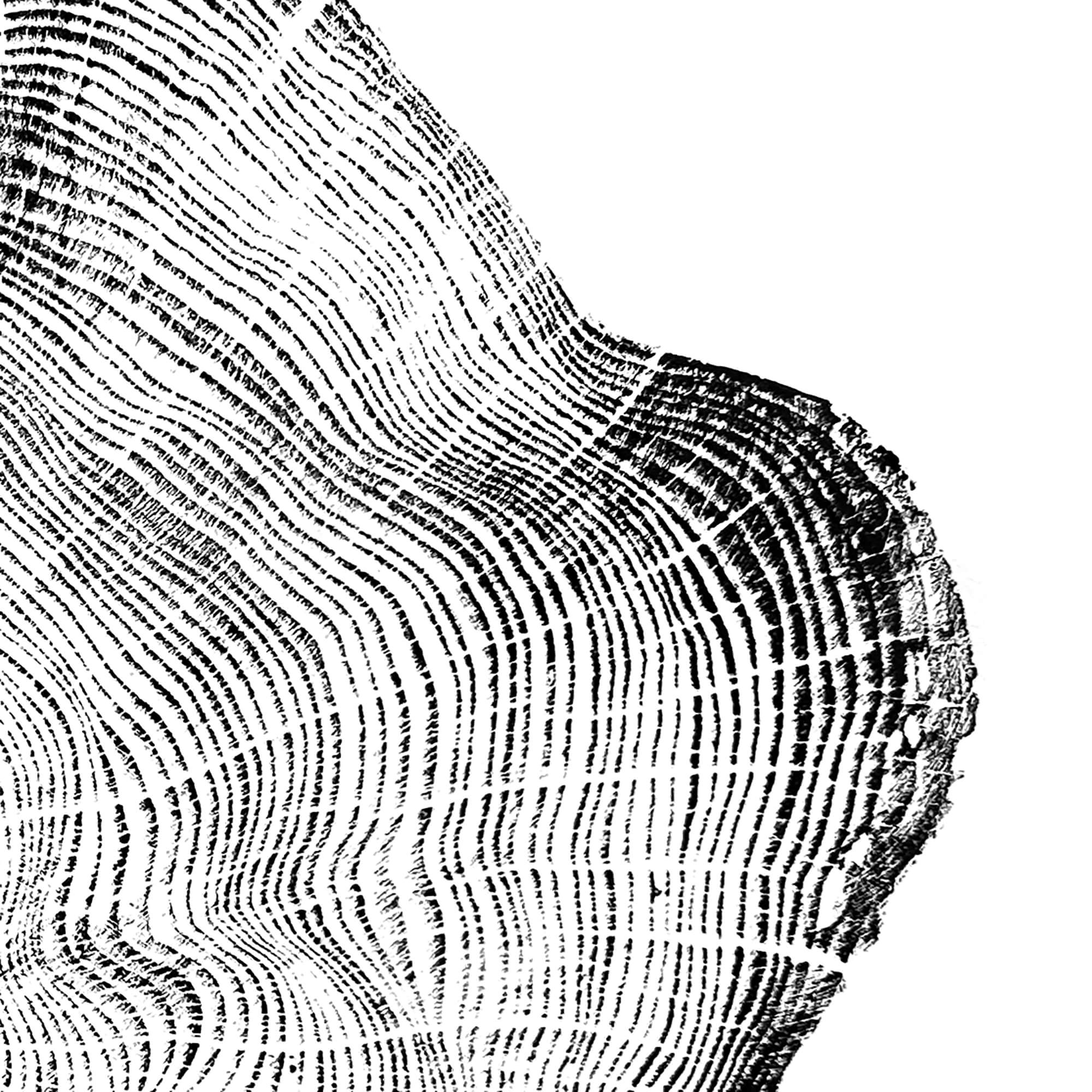 72 — Black Sea Forest · Hand Pressed Print
