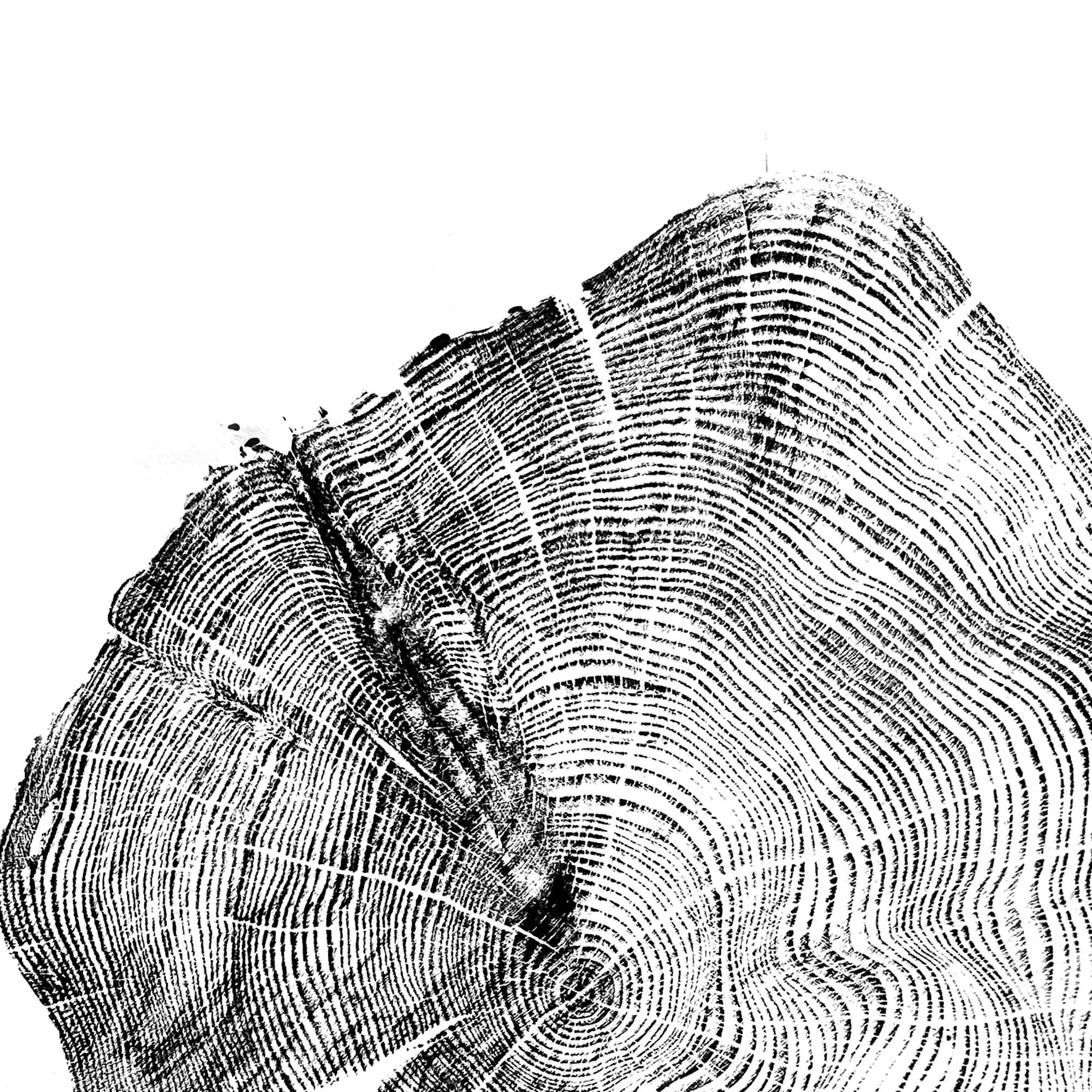 72 — Black Sea Forest · Hand Pressed Print