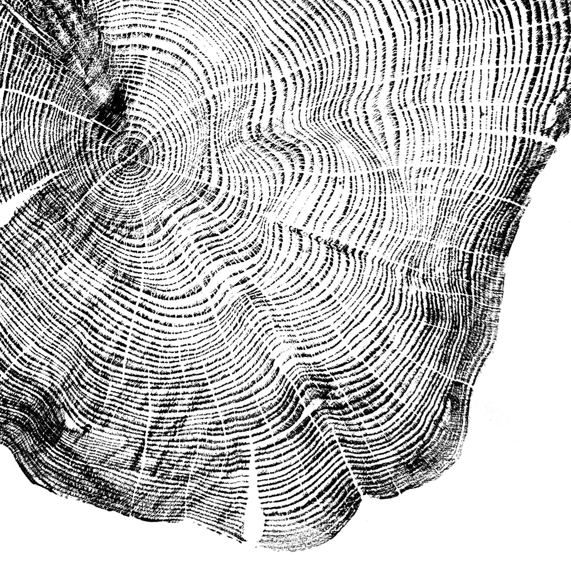72 — Black Sea Forest · Hand Pressed Print