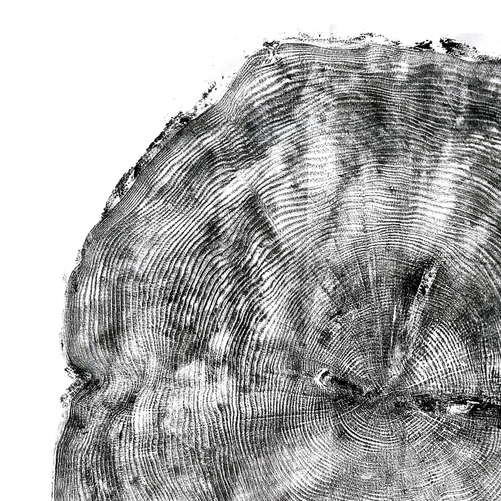 106 — Black Sea Forest · Hand Pressed Print