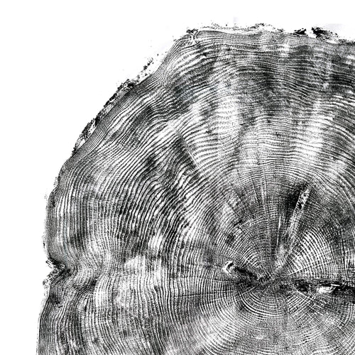 106 — Black Sea Forest · Hand Pressed Print