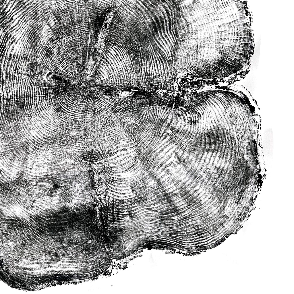 106 — Black Sea Forest · Hand Pressed Print