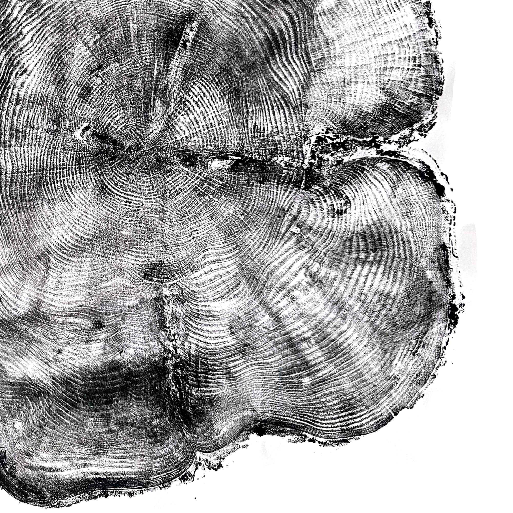 106 — Black Sea Forest · Hand Pressed Print