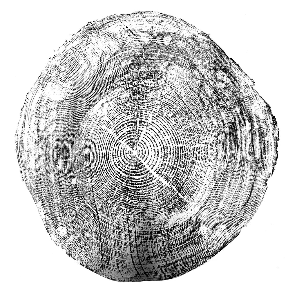 116 — Black Sea Forest · Hand Pressed Print