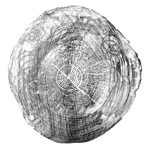 116 — Black Sea Forest · Hand Pressed Print