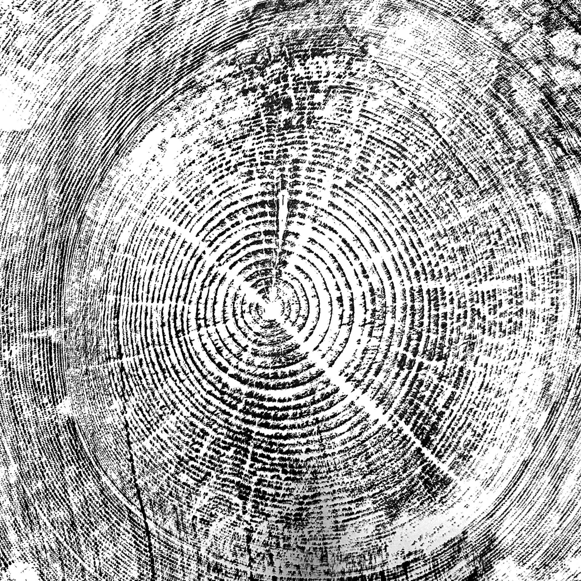 116 — Black Sea Forest · Hand Pressed Print