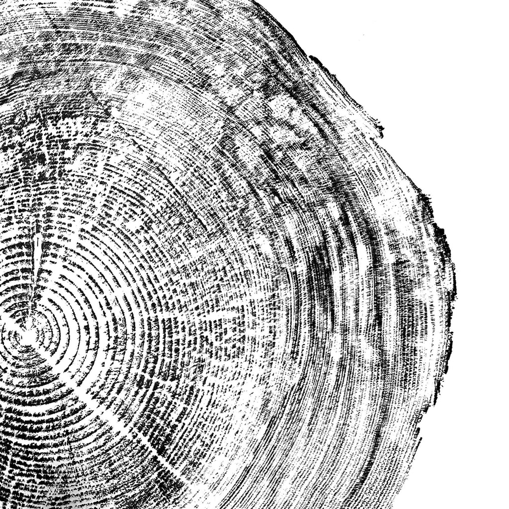 116 — Black Sea Forest · Hand Pressed Print