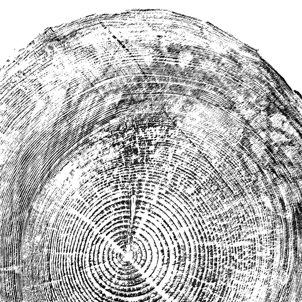 116 — Black Sea Forest · Hand Pressed Print