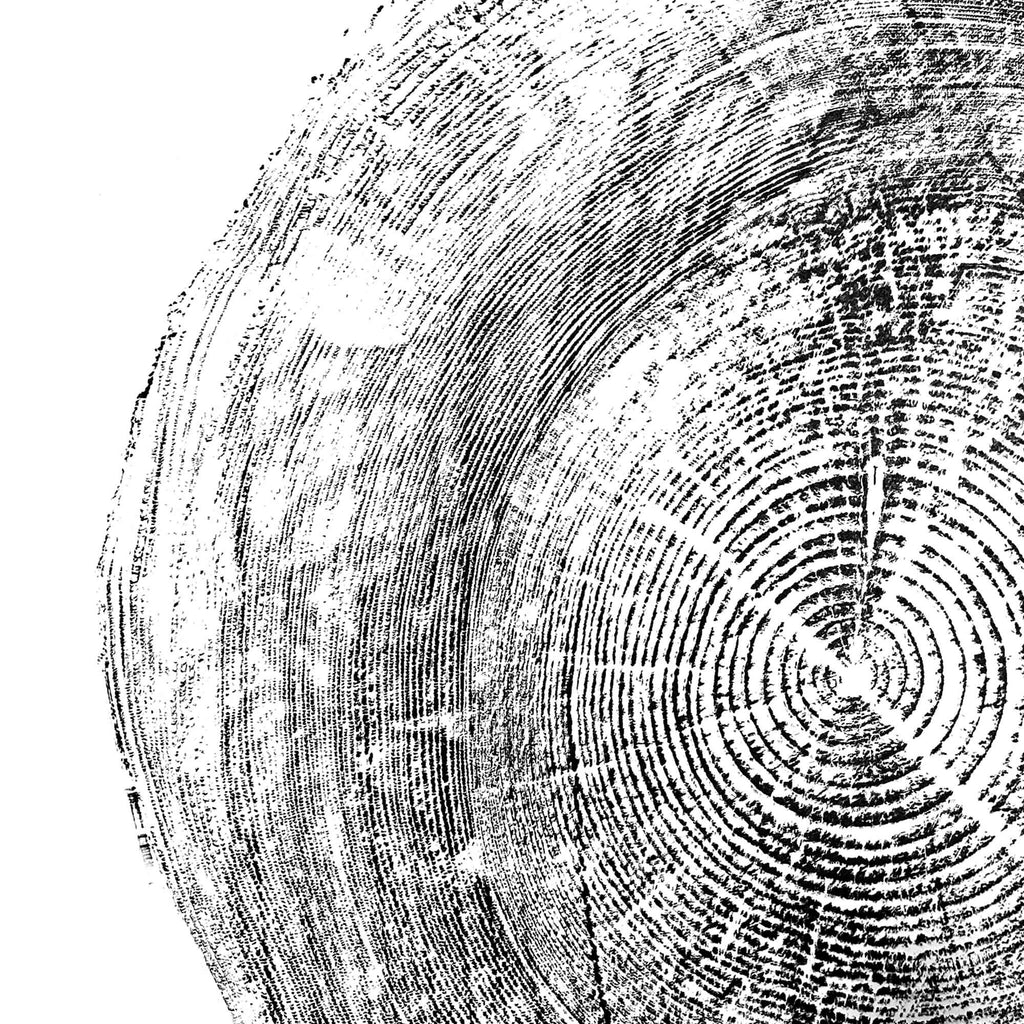 116 — Black Sea Forest · Hand Pressed Print