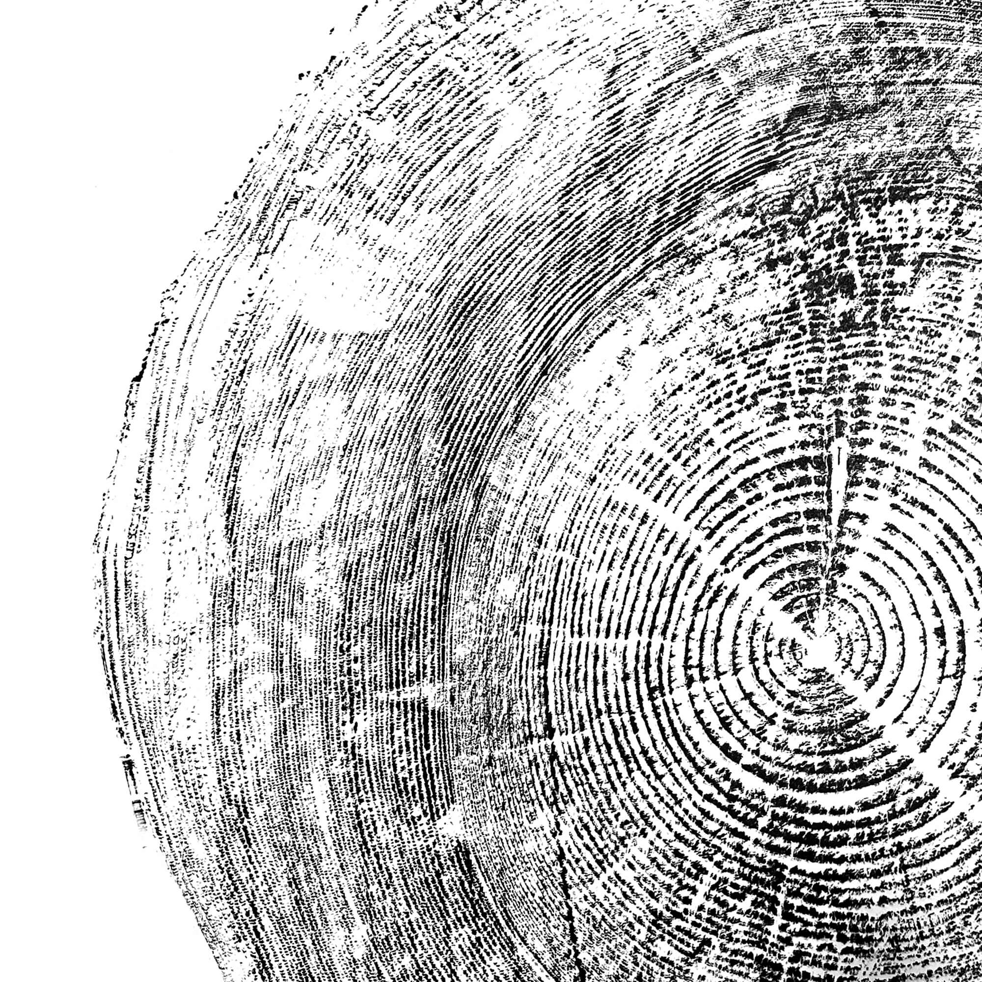 116 — Black Sea Forest · Hand Pressed Print