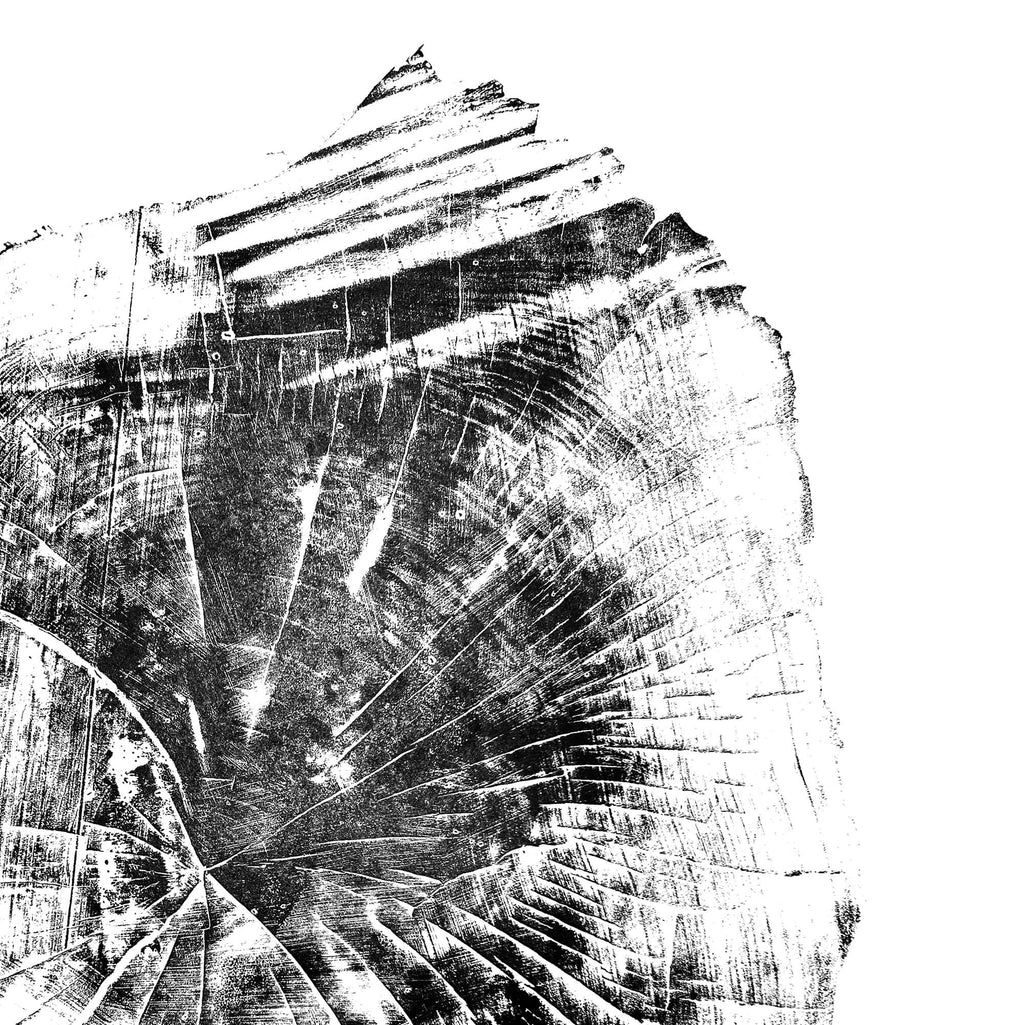 Black Sea Forest · Hand Pressed Print — Large