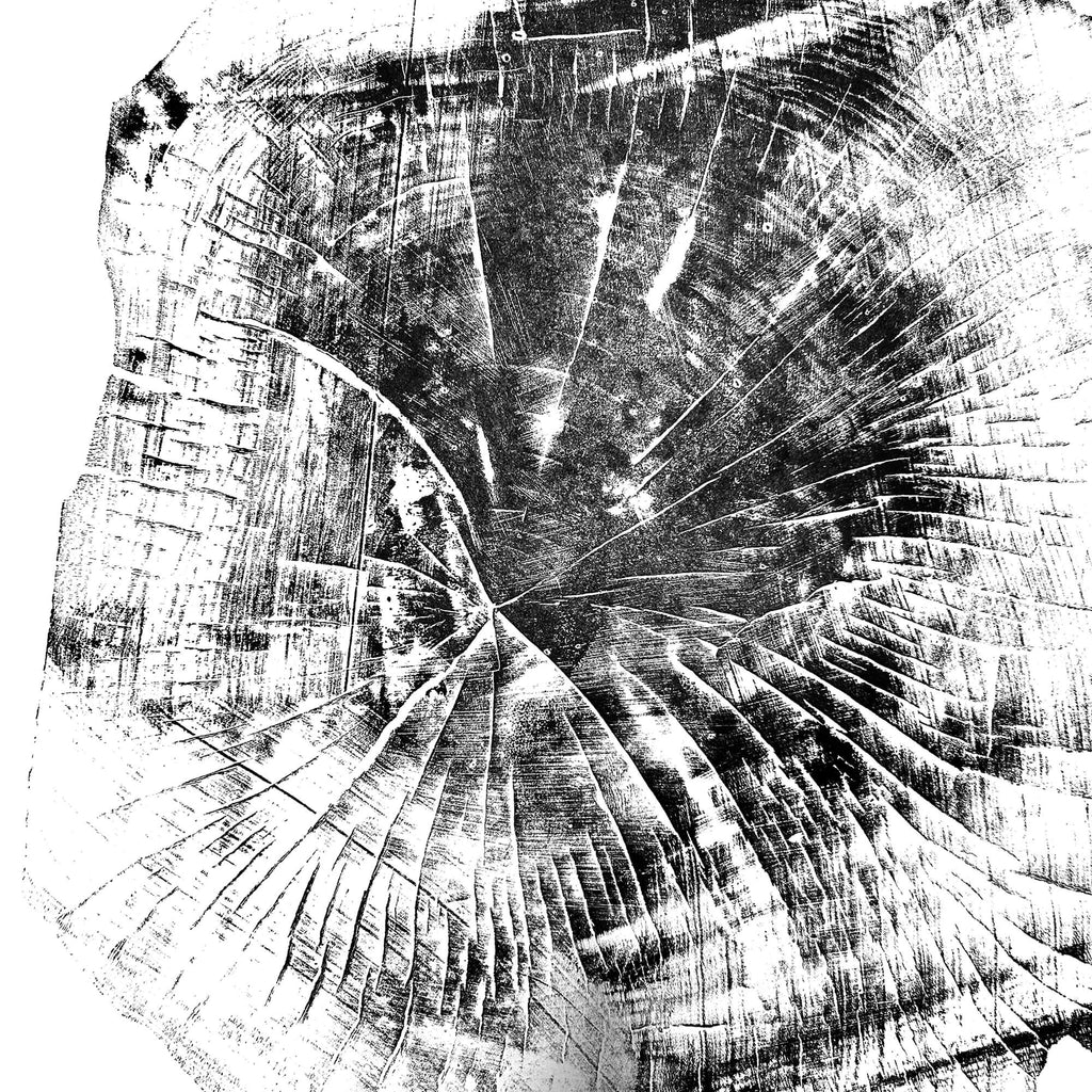 Black Sea Forest · Hand Pressed Print — Large
