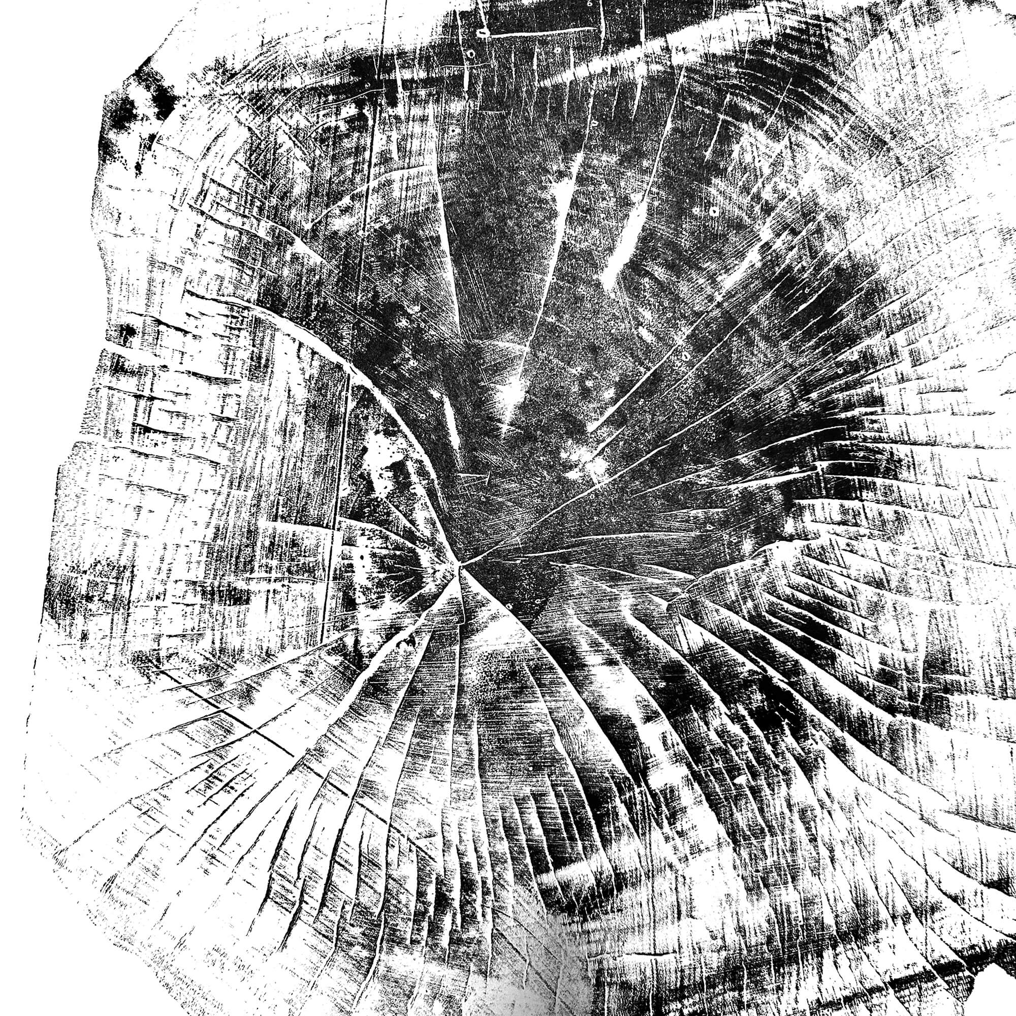 Black Sea Forest · Hand Pressed Print — Large